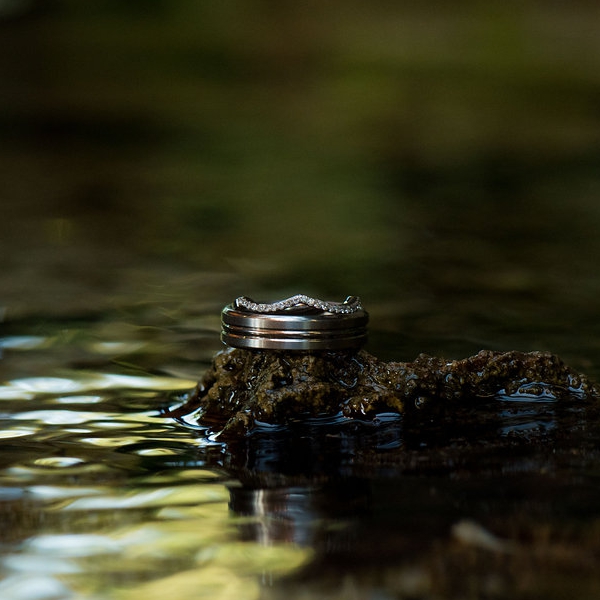 The Rings
